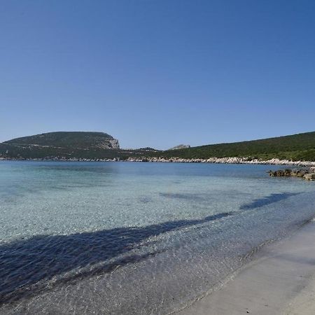 Pischina Salida-Villetta Pavoncelle Alghero Extérieur photo